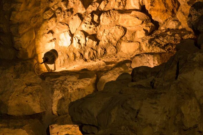 ⁦גוף תאורה צמוד קיר - HIVE⁩ – תמונה ⁦3⁩