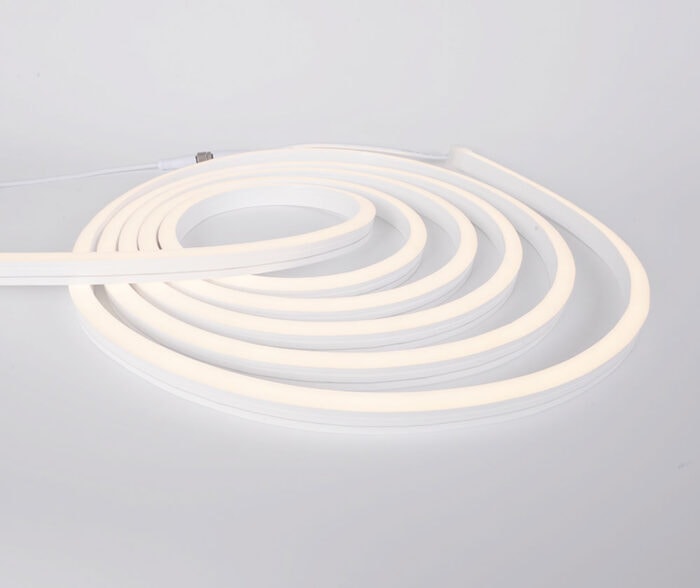 ⁦נאון פלקס - NMS1217⁩ – תמונה ⁦2⁩